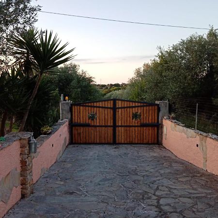 Villa Relax Tra Gli Ulivi Alghero Dış mekan fotoğraf