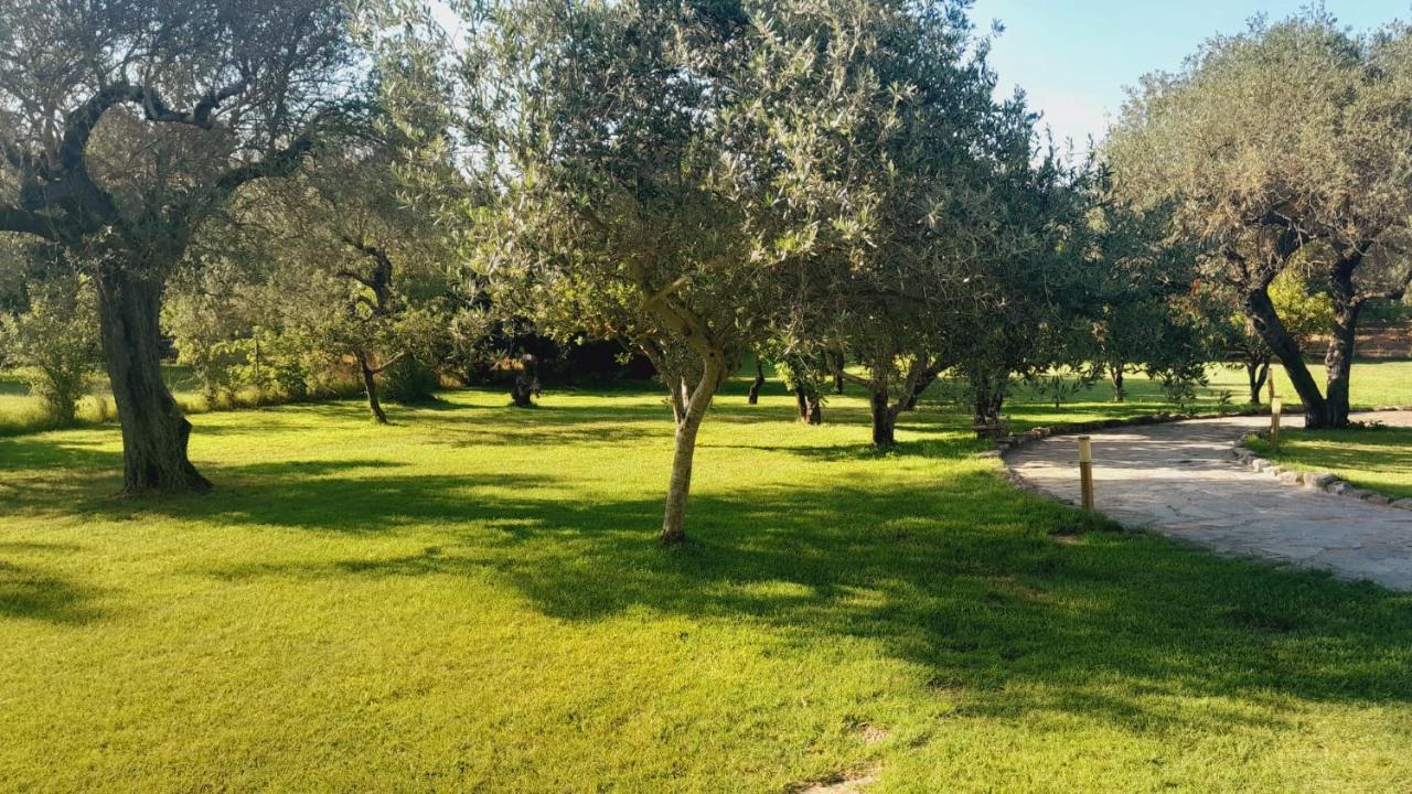 Villa Relax Tra Gli Ulivi Alghero Dış mekan fotoğraf